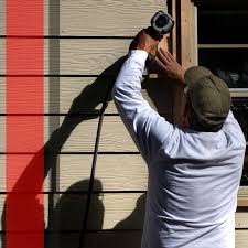 Best Storm Damage Siding Repair  in North Alamo, TX